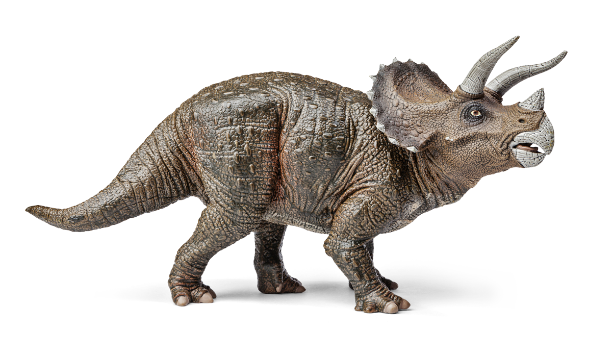 kago hammerschmidt triceratops